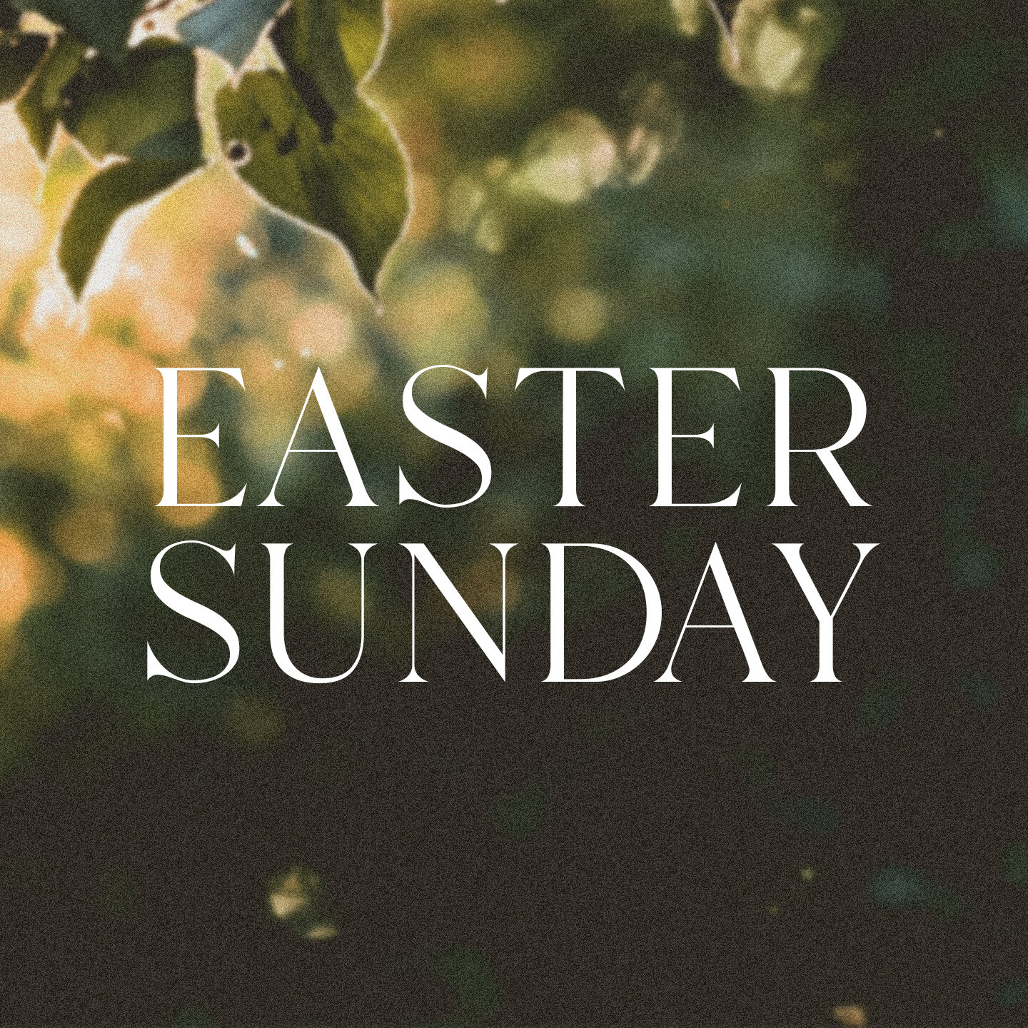 4.4.21 | Easter