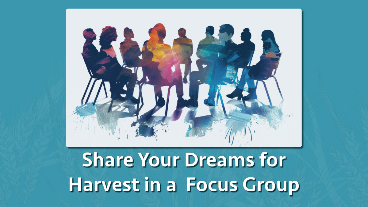 Focus Groups