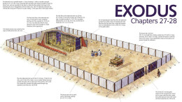 Introduction to Phase 2 Building Plans