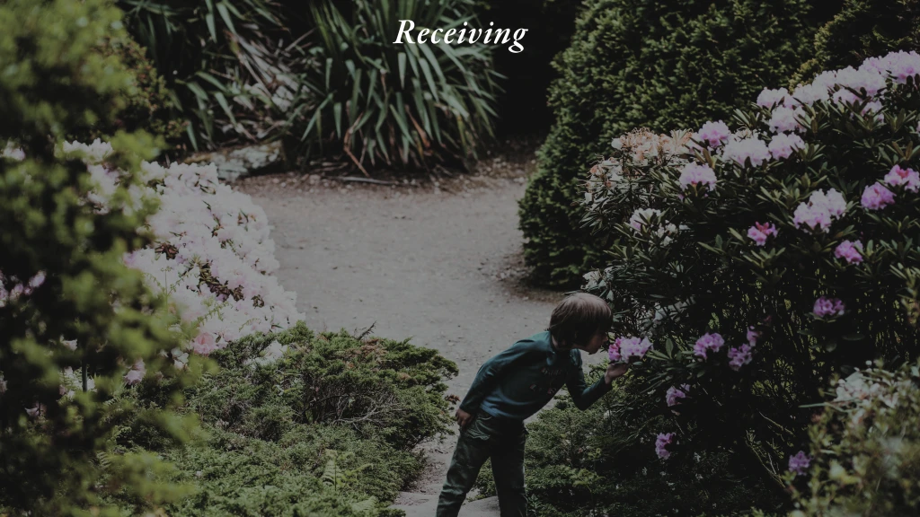 The Cultivated Life | Receiving Refreshment