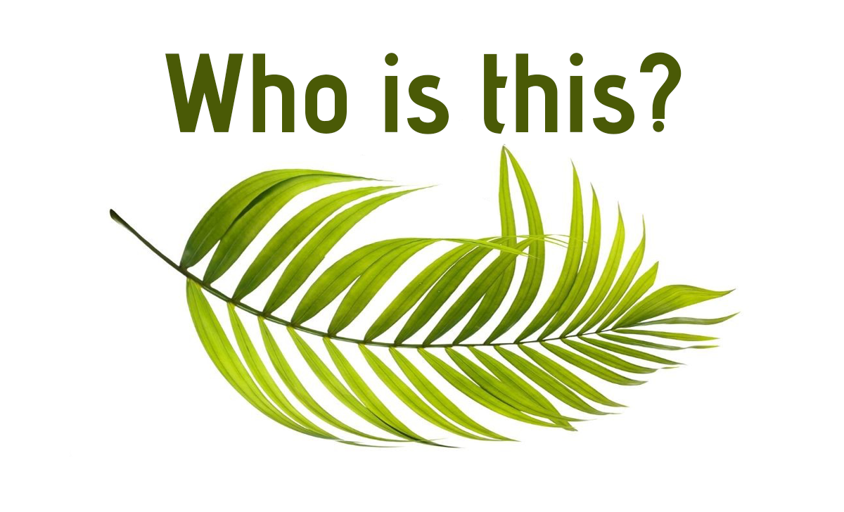 Who Is This? (Audio) episode artwork