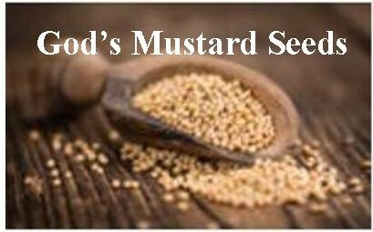 "God's Mustard Seeds"
