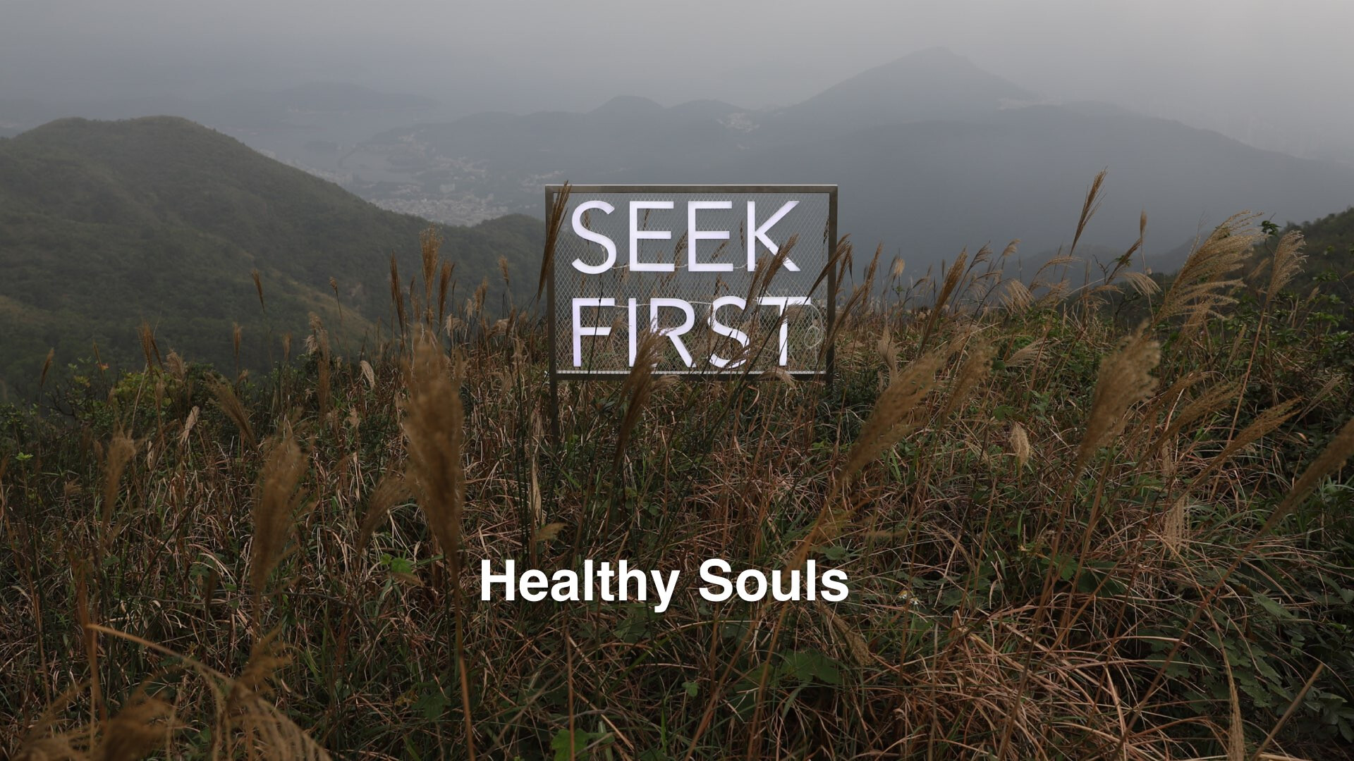 Healthy Souls (Audio) episode artwork