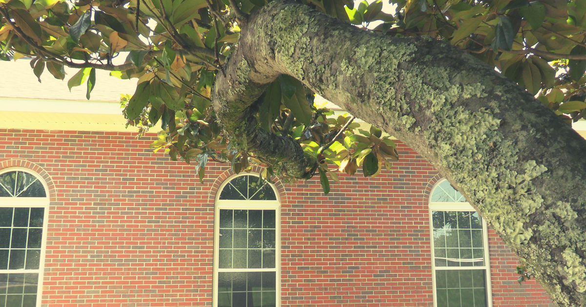 Next Steps Stapleton Baptist Church