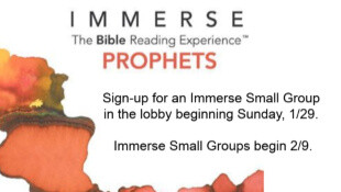 Immerse Small Groups Begin!