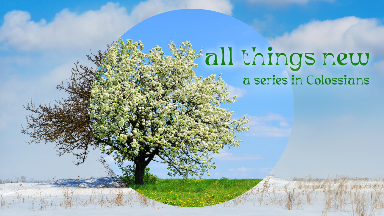 Series-All Things New