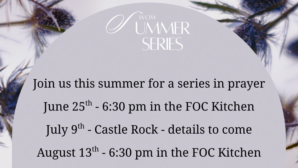 WOW (Women of the Word) Summer Meetings 