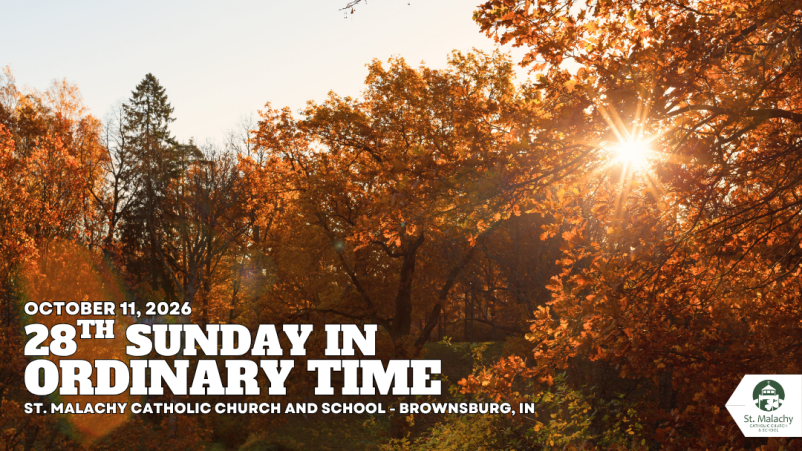 28th Sunday Homily