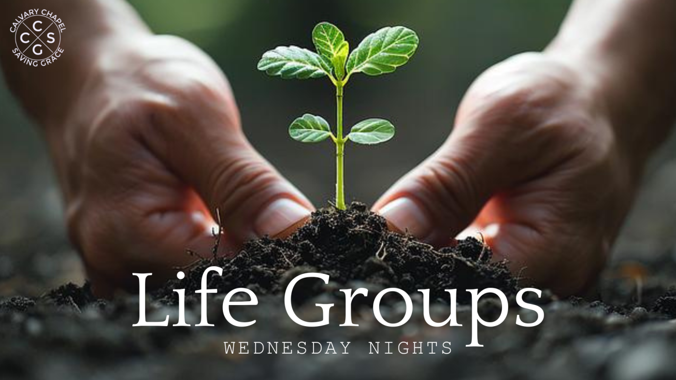 Life Groups