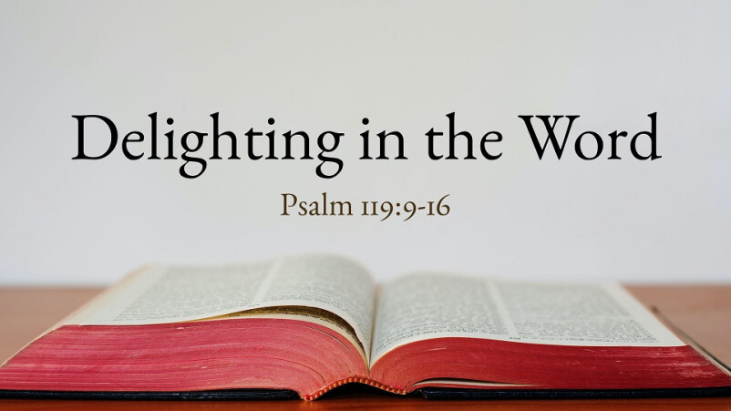 Delighting in the Word