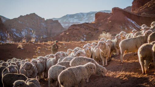 Something to Believe In