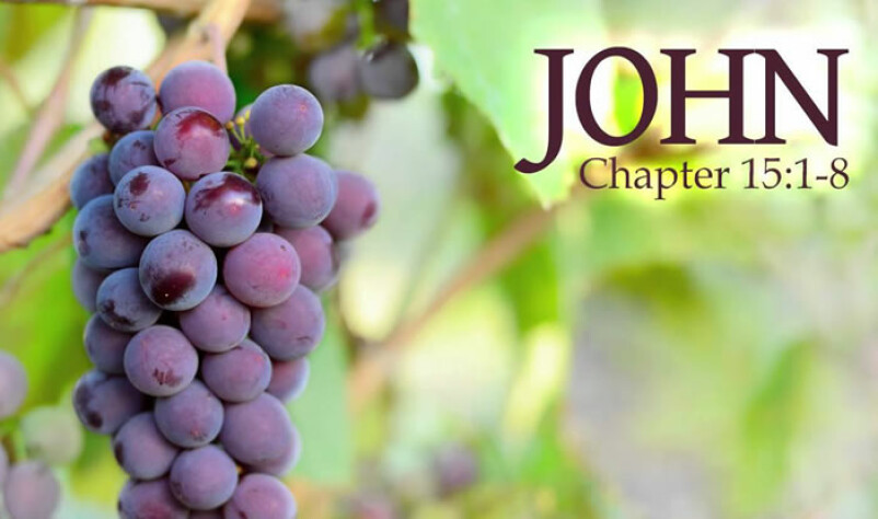 Jesus said: I am the True Vine - Atkinson