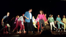 Bye Bye Birdie 1
