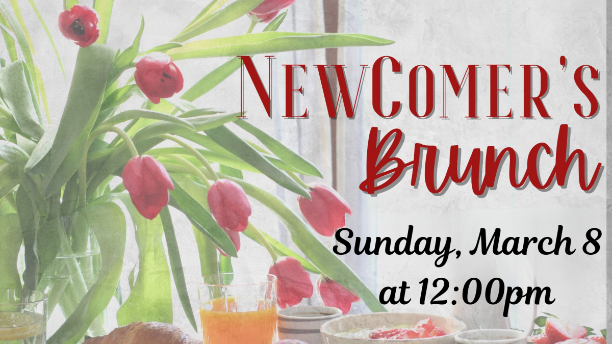 NewComer's Brunch