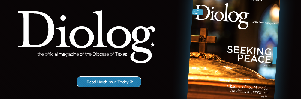Diolog Magazine Subscription or Mailing List Change Form