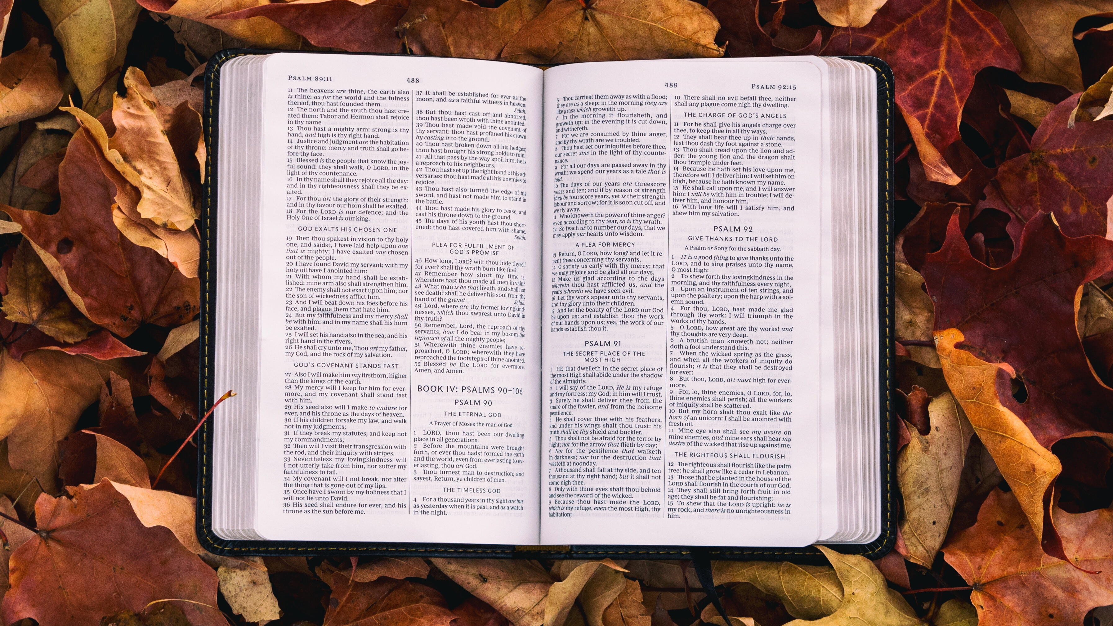 Unwrapping the themes of Advent II