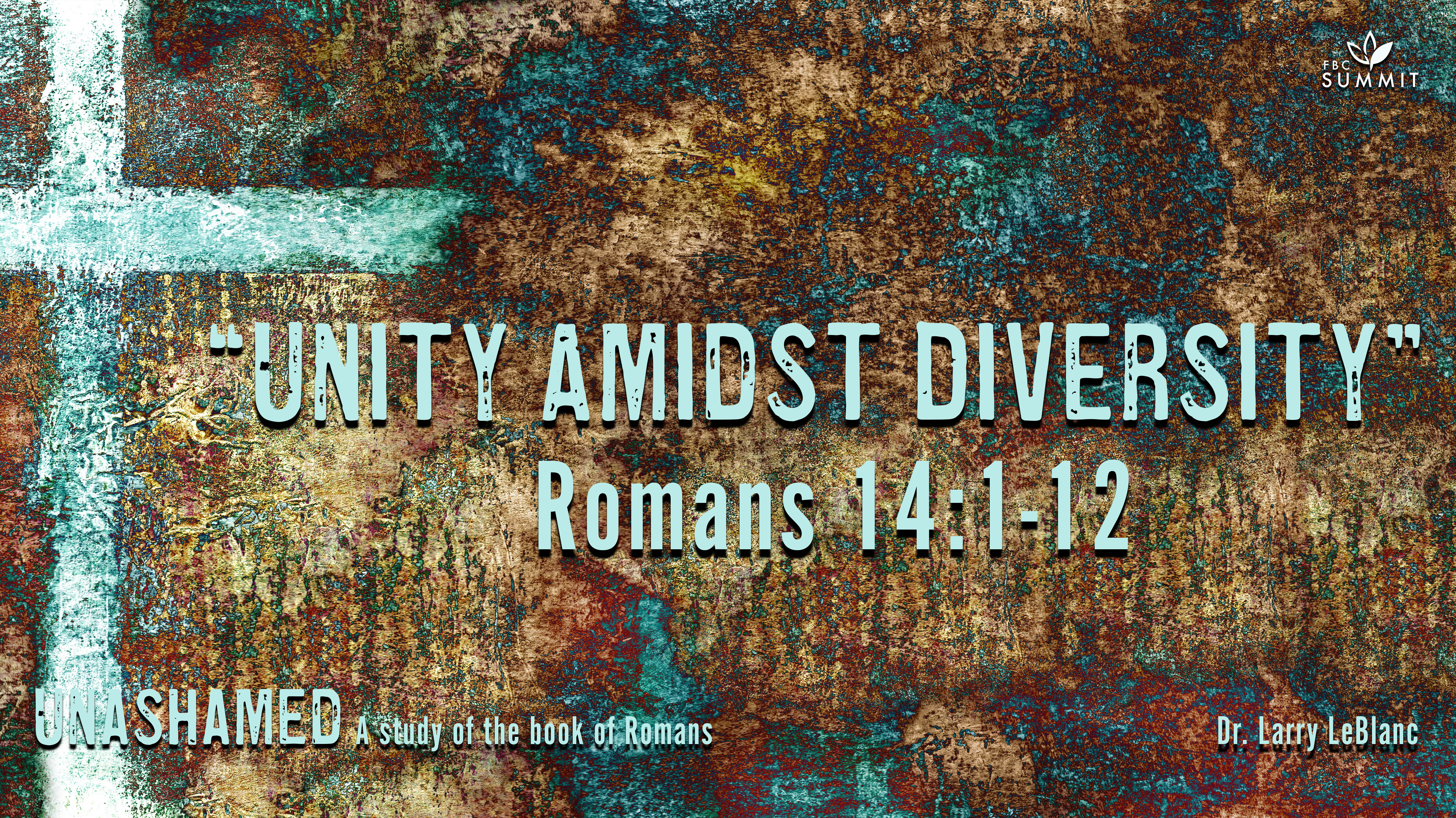 "Unity Amidst Diversity" Romans 14:1-12 // Dr. Larry LeBlanc