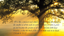 Third Sunday after Pentecost - June 13