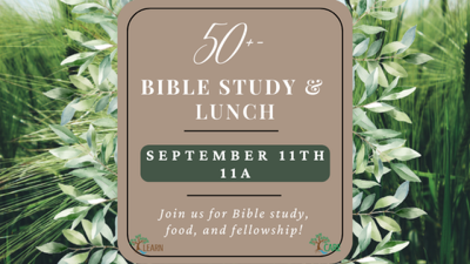 50+- Luncheon