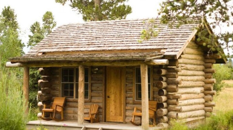 Cabin Fever Anyone?