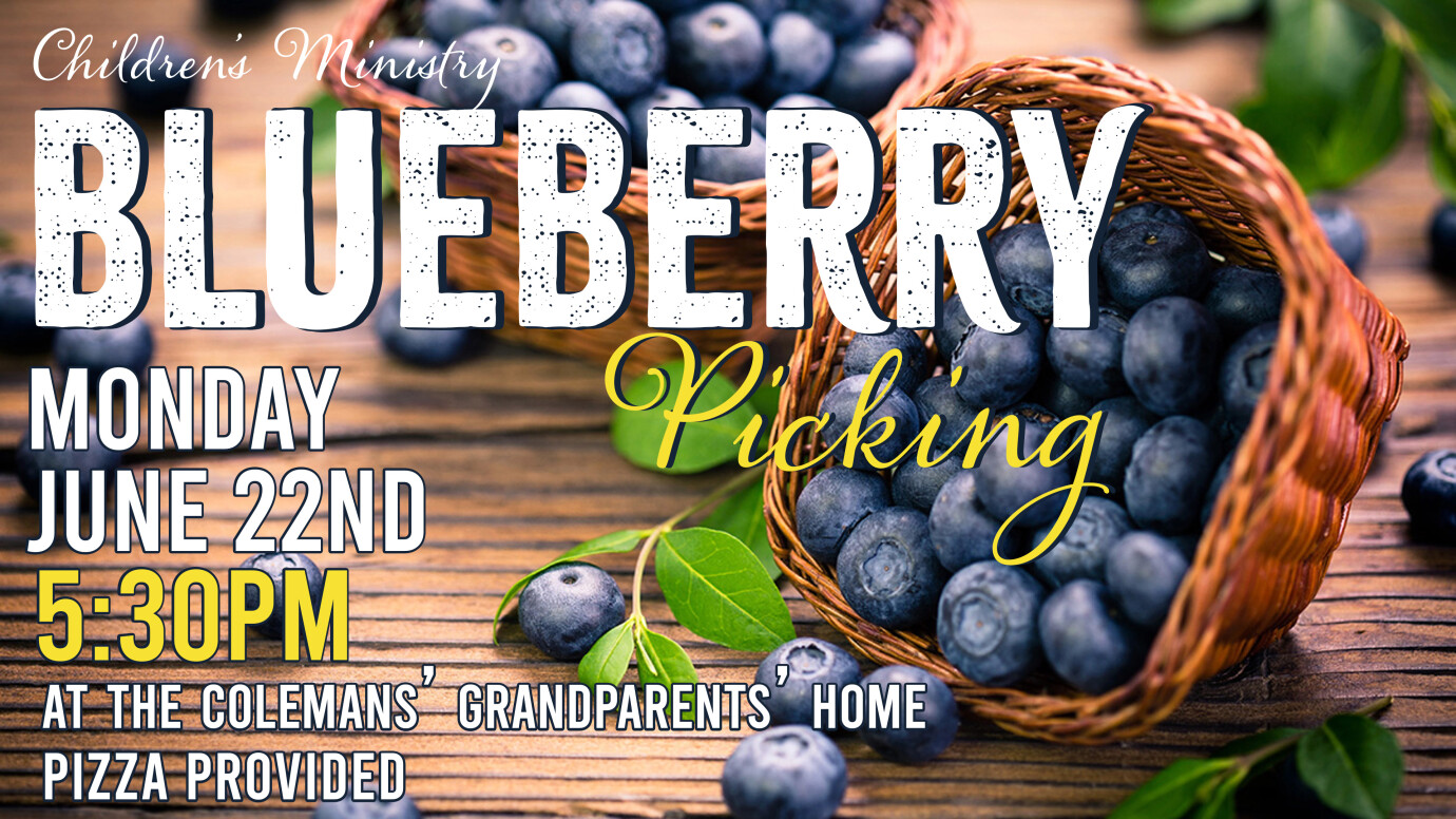 Children's Ministry - Blueberry Picking