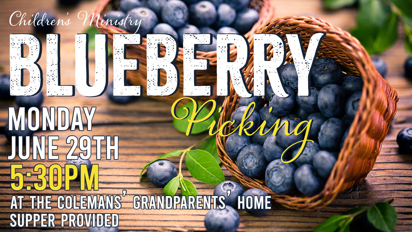 Children's Ministry - Blueberry Picking