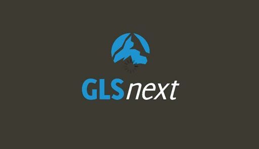 GLS Next with Rory Vaden