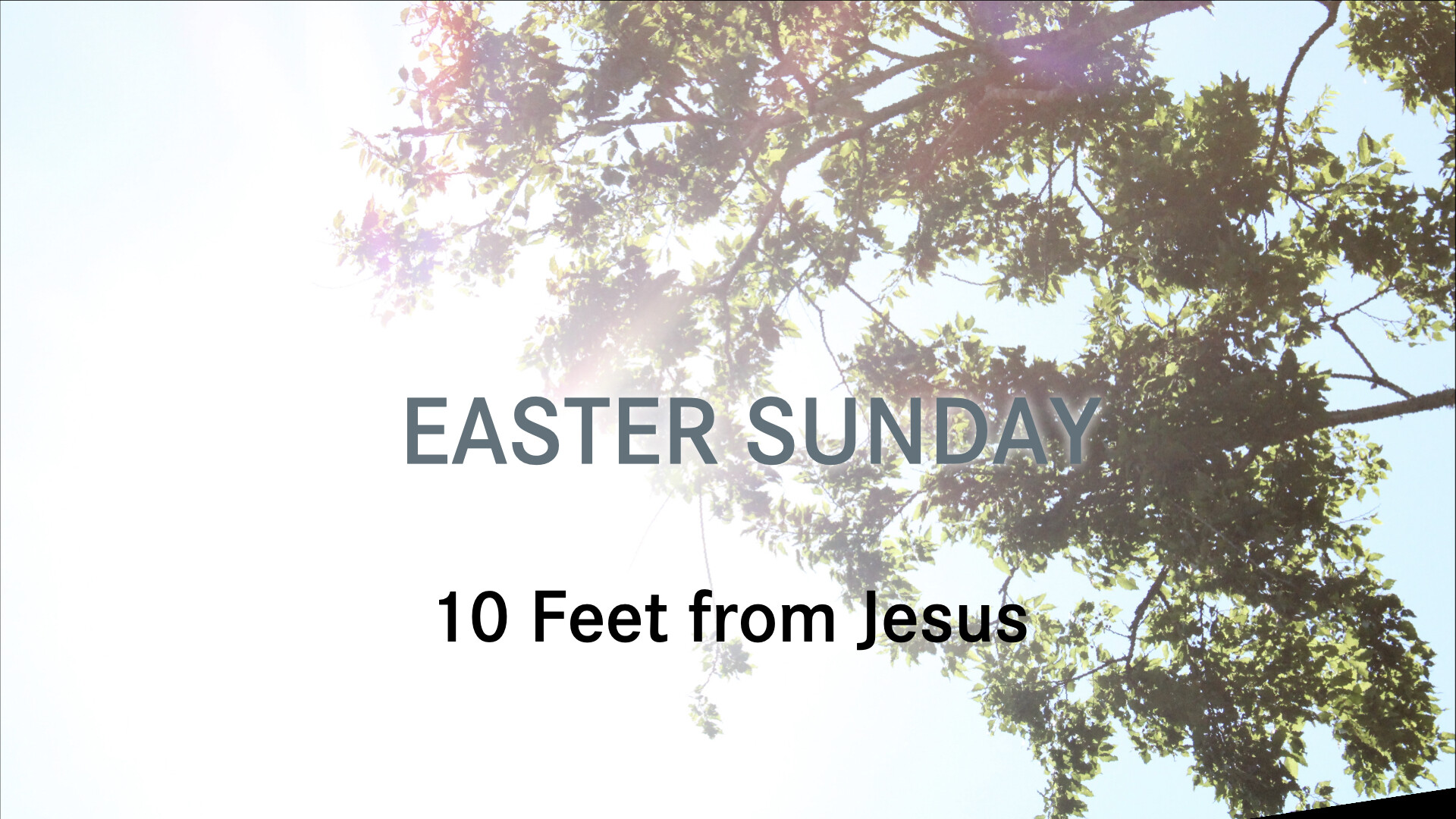 Easter Sunday: 10 feet from Jesus (Audio) episode artwork