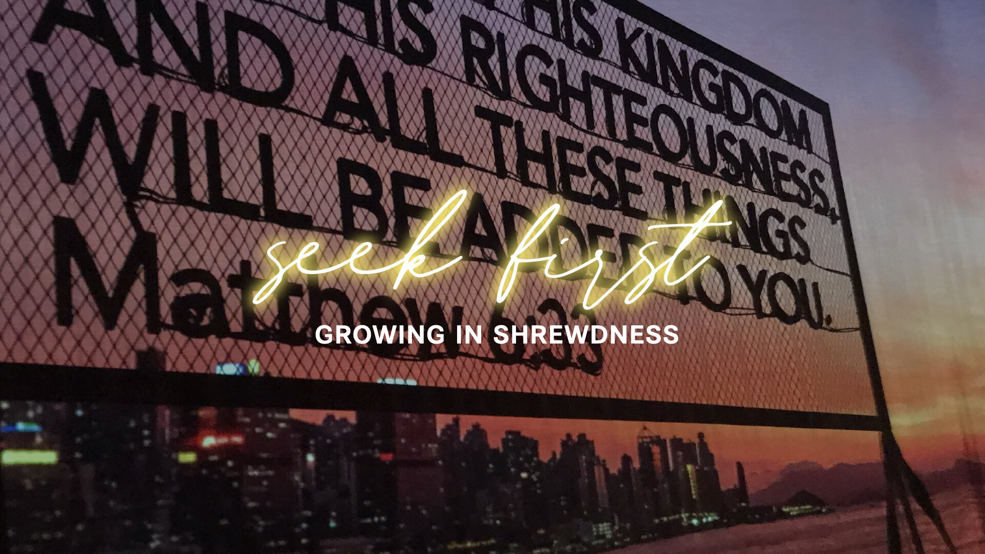 Seek First: Growing in Shrewdness (Audio) episode artwork
