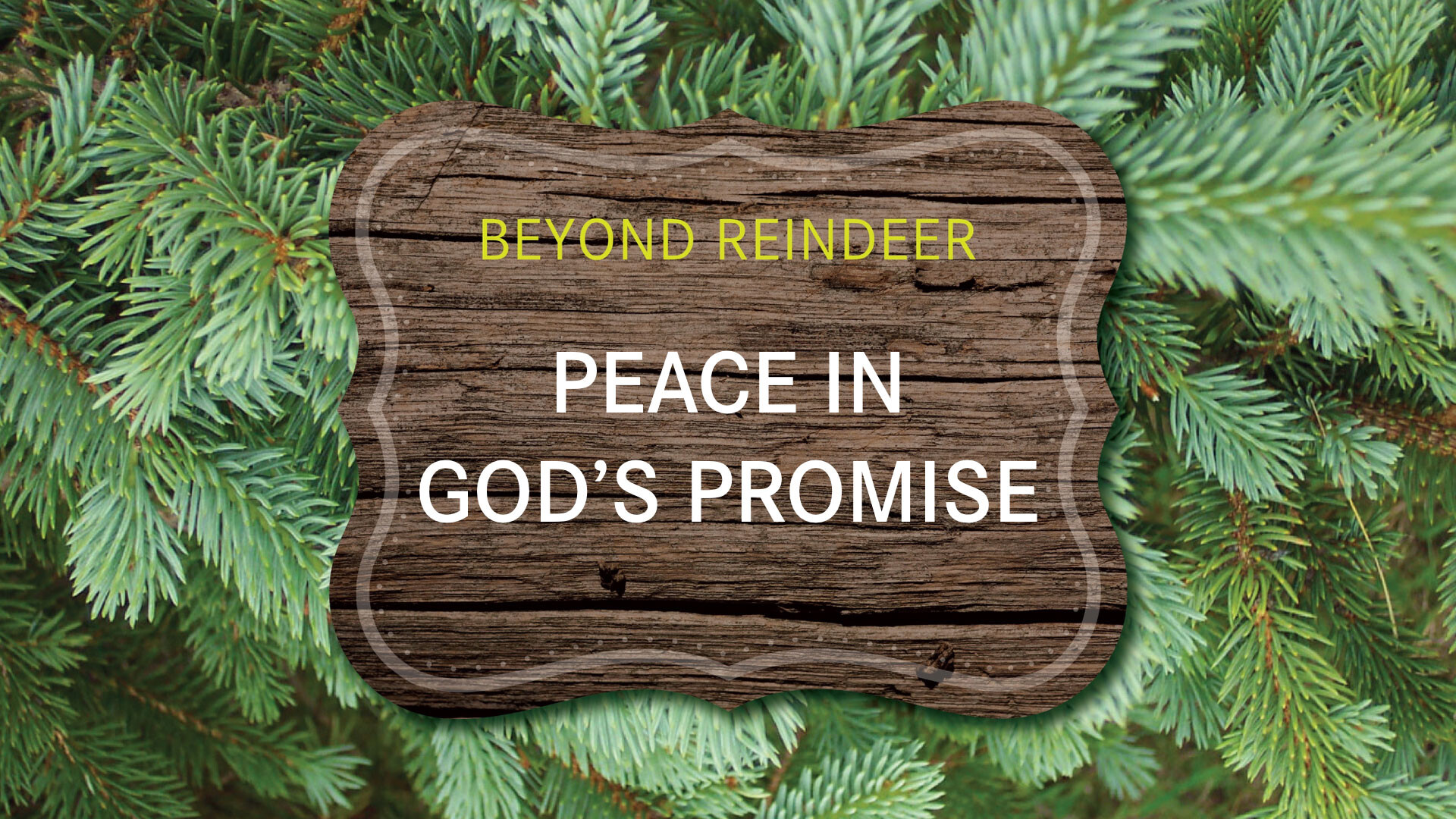 Peace in God's Promise (Audio) episode artwork