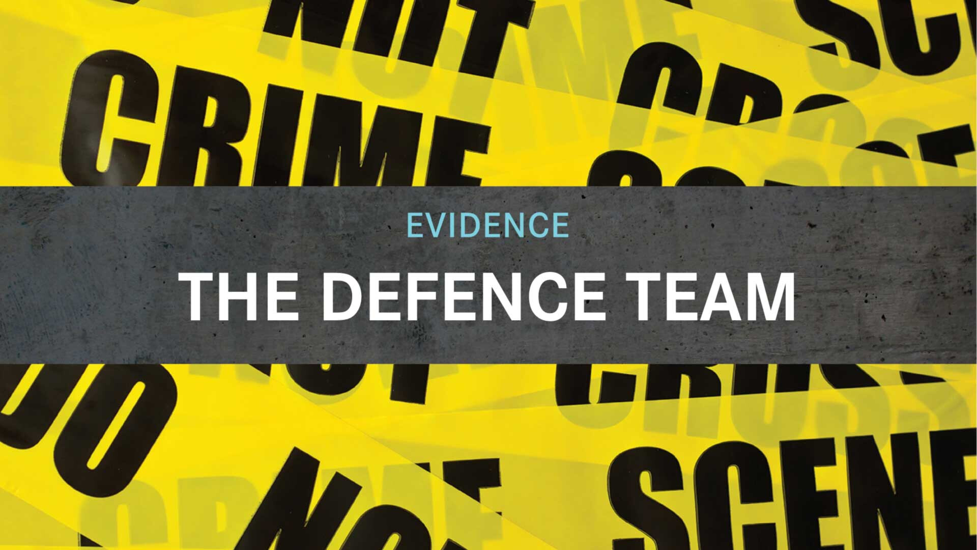 The Defence Team (Audio) episode artwork