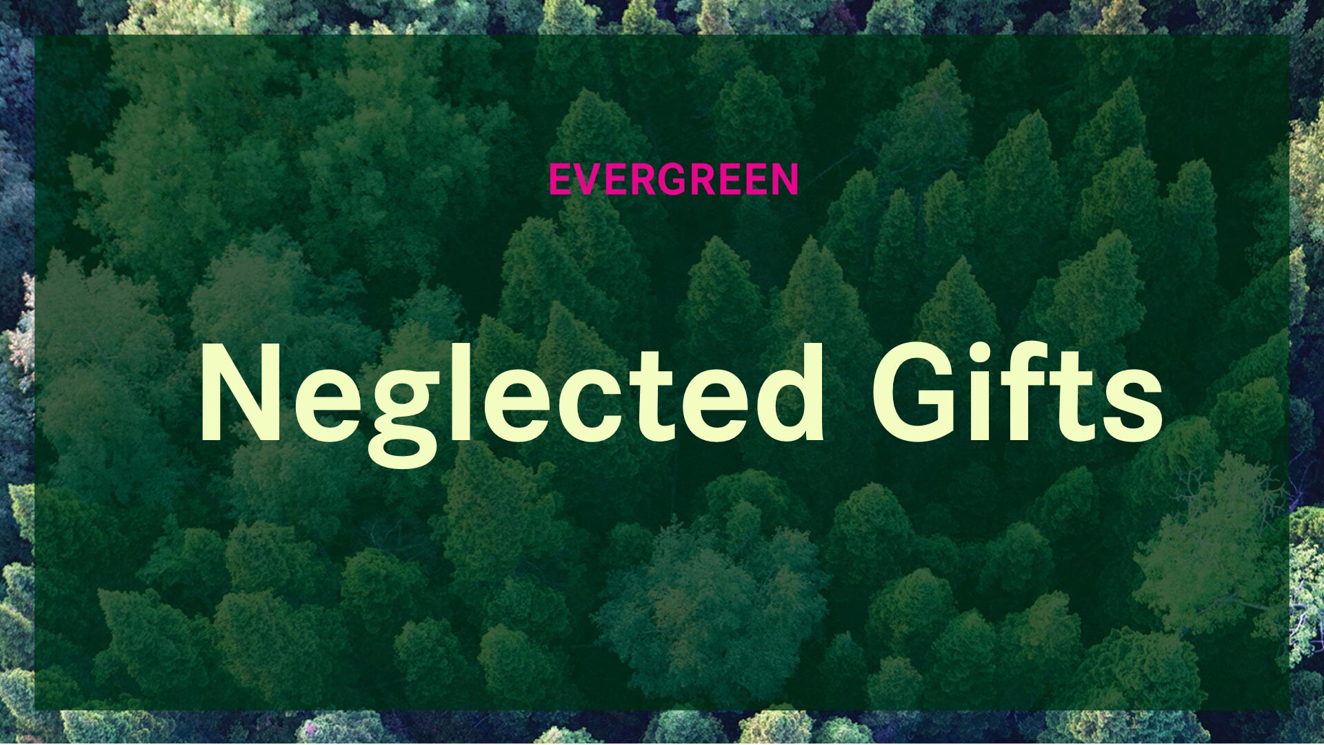 Neglected Gifts (Audio) episode artwork