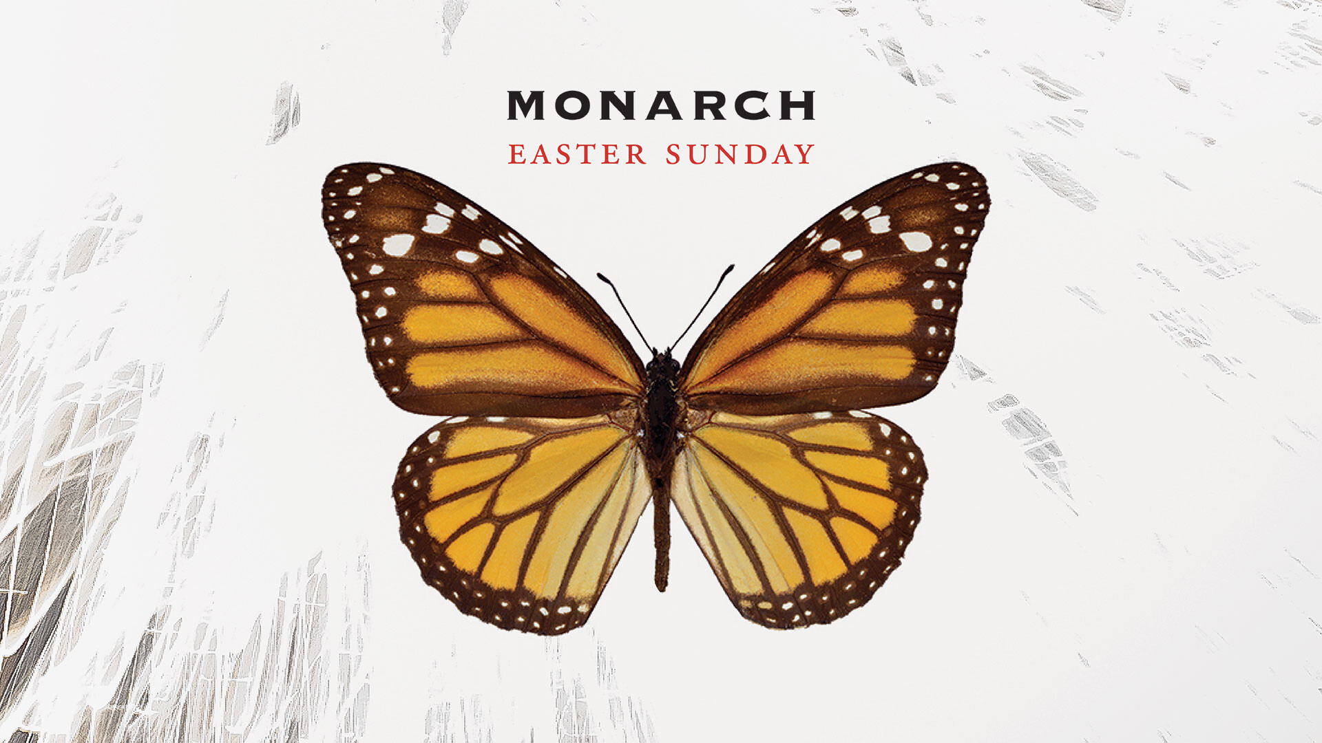 Monarch (Audio) episode artwork