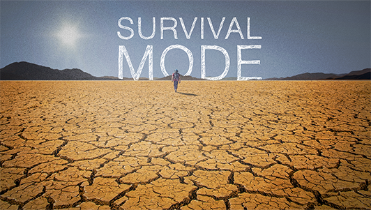 Survival Mode, Part 1: The Basics episode artwork