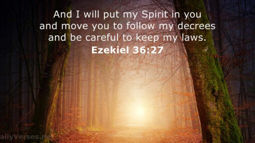 Verse of the Day - May 24