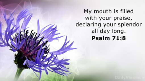 Verse of the Day - May 2