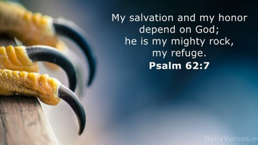 Verse of the Day - May 23