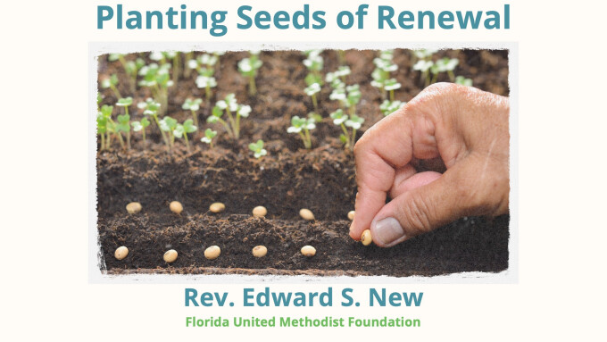 Planting Seeds of Renewal