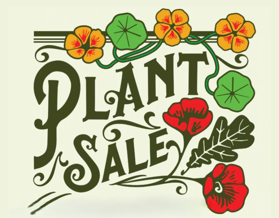 Spring Plant Sale
