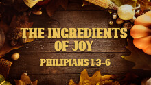 The Ingredients of Joy