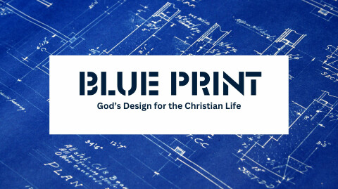 Blue Print: Don