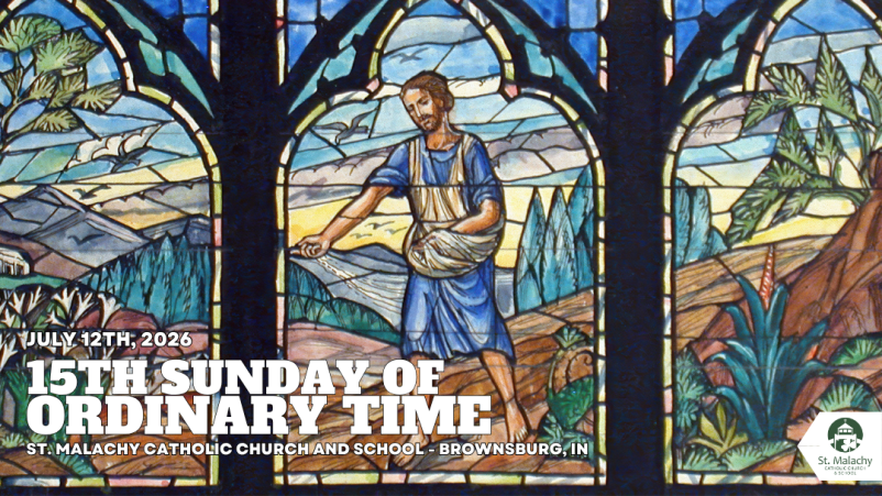 15th Sunday in Ordinary Time