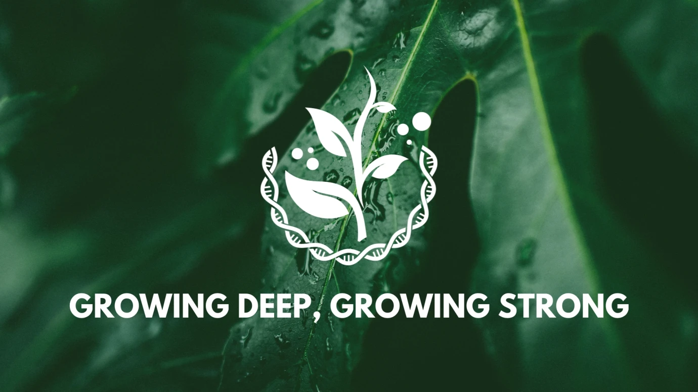 Growing Deep, Growing Strong