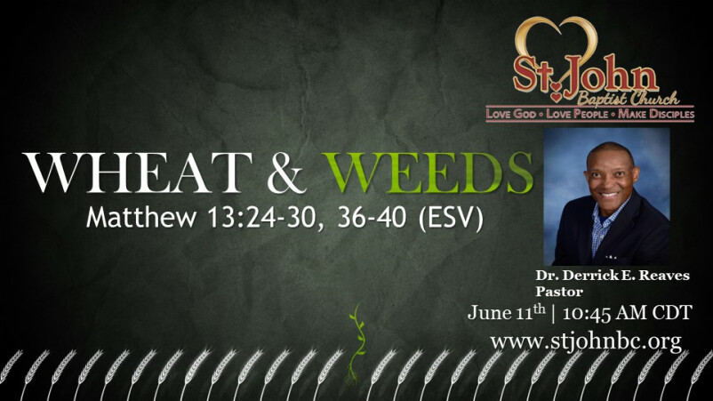 Wheat & Weeds