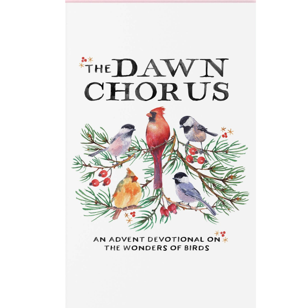 The Dawn Chorus