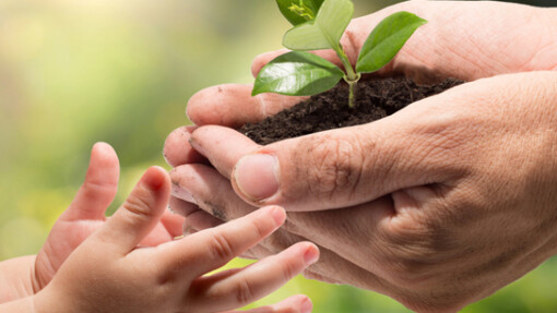 Endowment Grant Deadline is Extended!