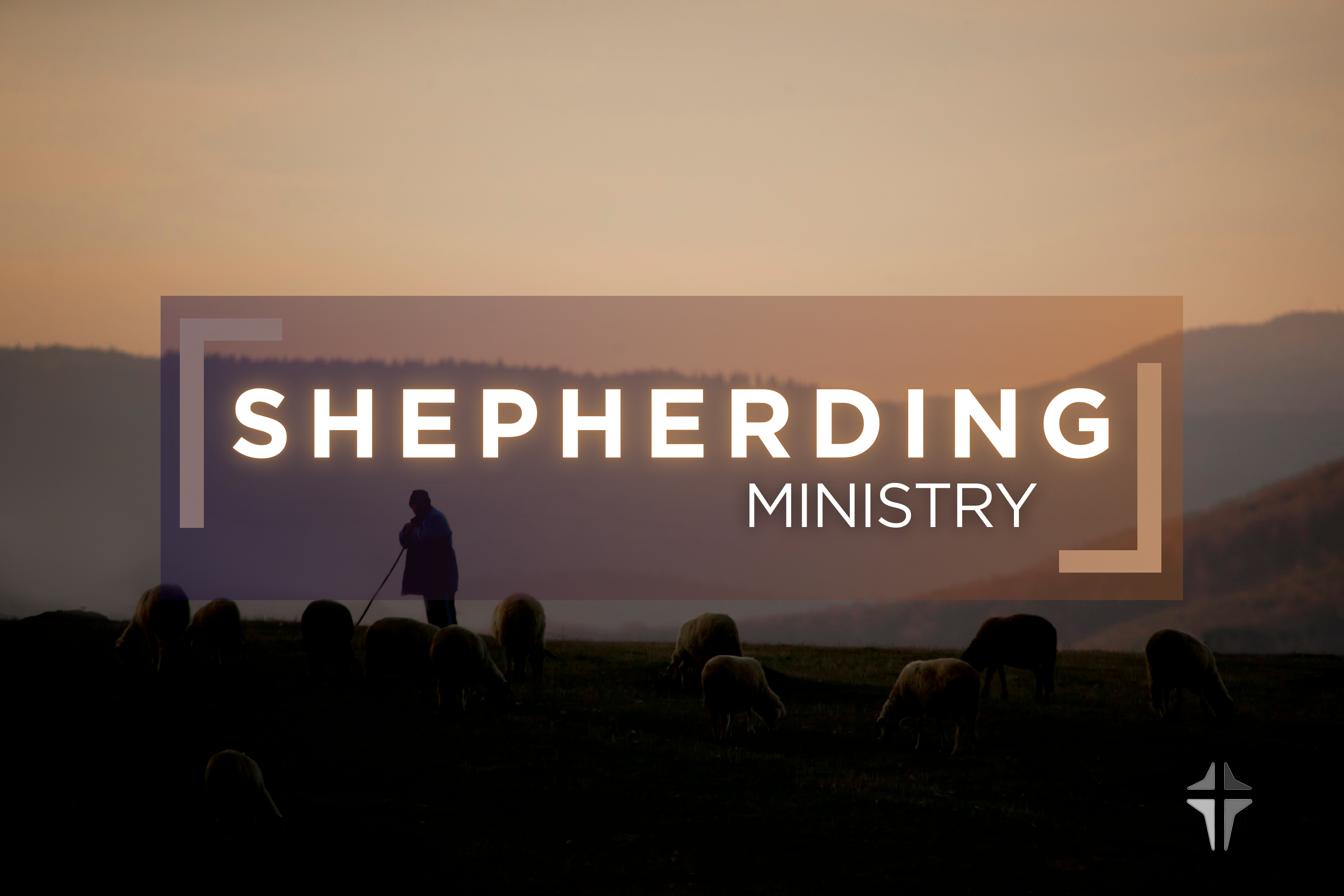Shepherding Ministry