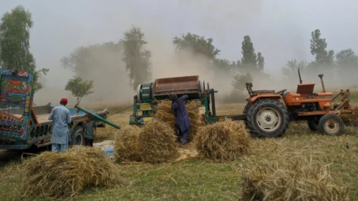 Prepare for Harvest