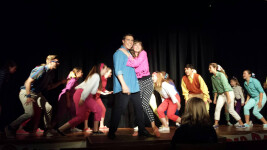 Bye Bye Birdie 30