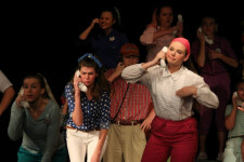 Bye Bye Birdie 16
